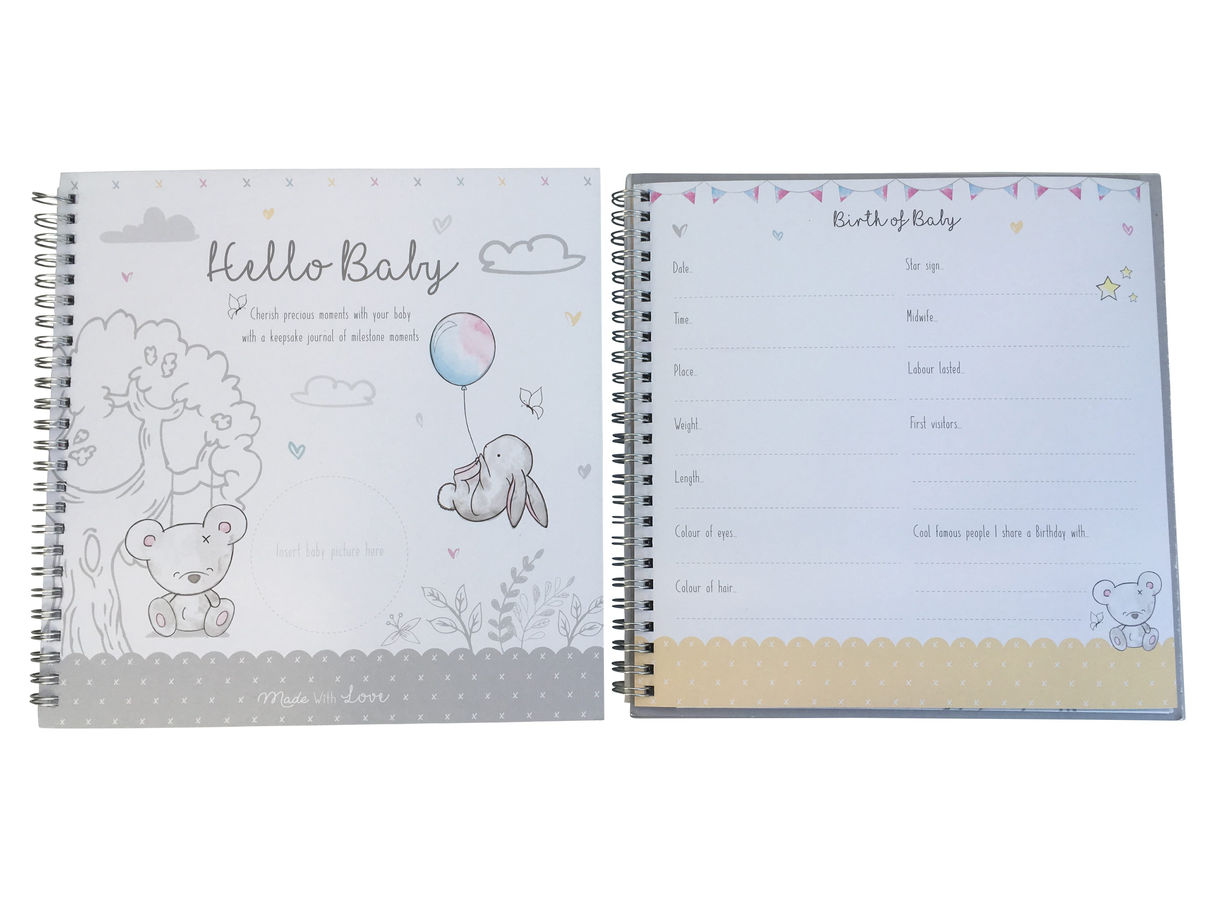 baby milestone journal